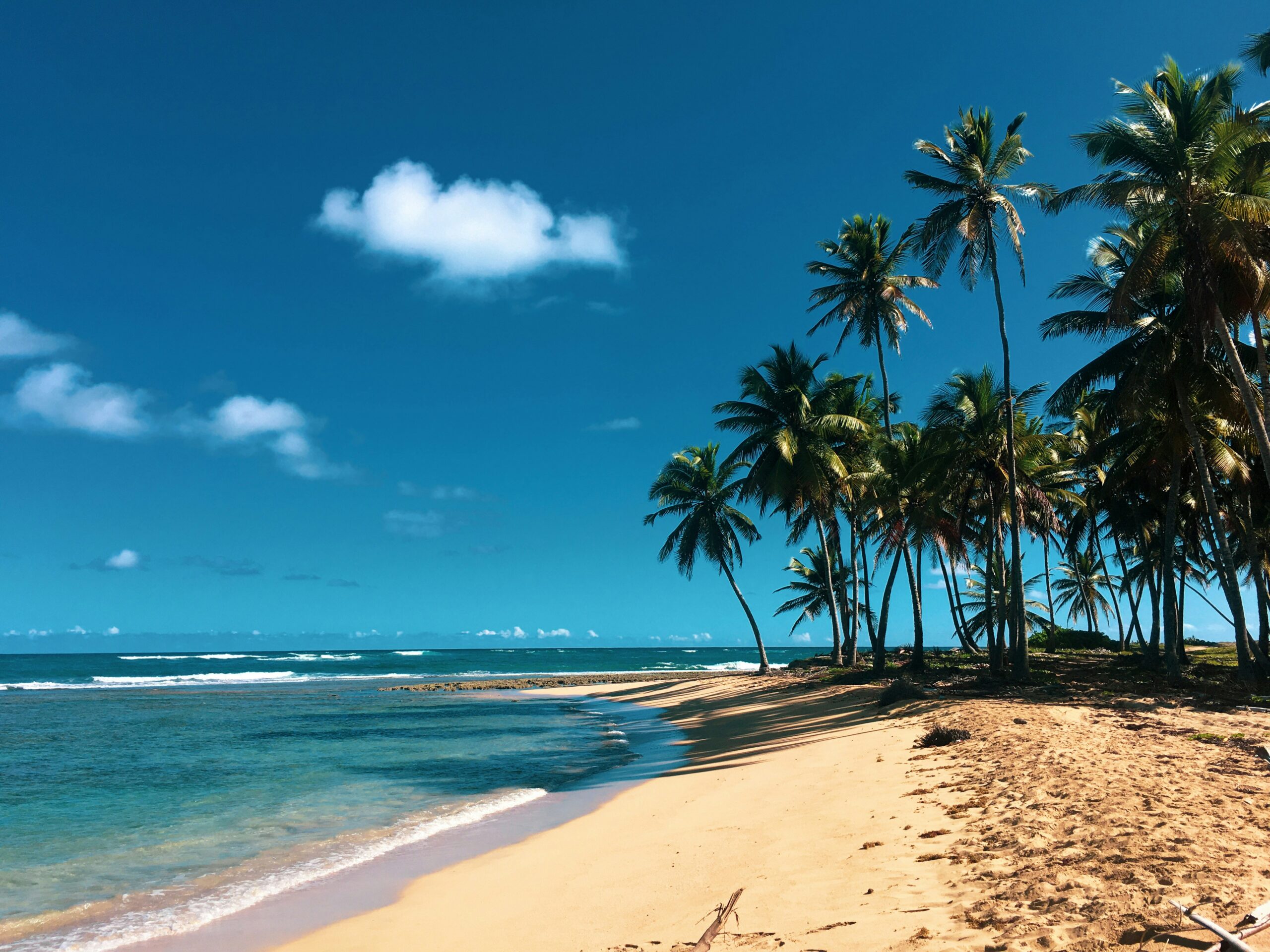 How to Send Money to the Dominican Republic from the US in 2026: Best Apps and Services